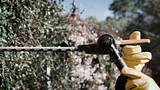 VIDEO AEG 500mm Articulating Hedge Trimmer Attachment (AHT46) - FINAL.mp4