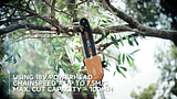 VIDEO AEG 254mm Pole Saw Attachment (APP10) - FINAL.mp4